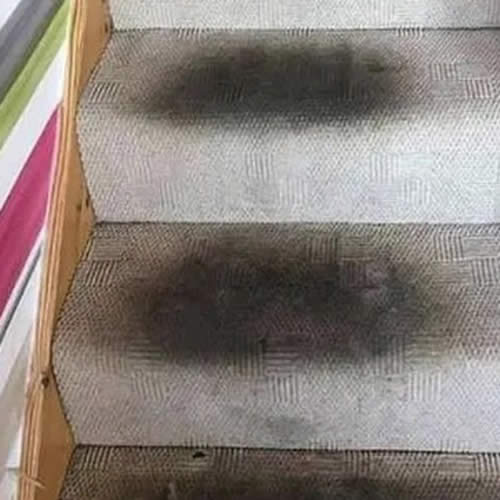stairs carpet cleaner dublin before